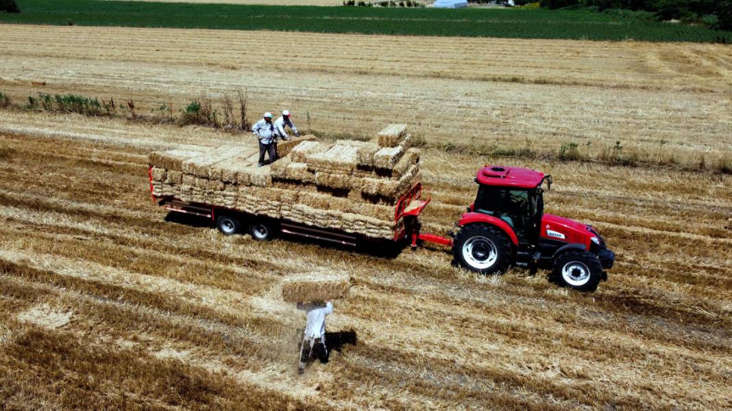 Kavurucu sıcakta 'balya' mesaisi 8